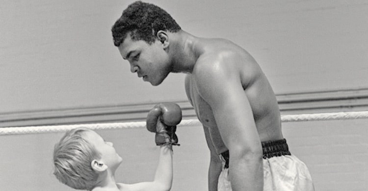 Boxe et traduction, sports de combat