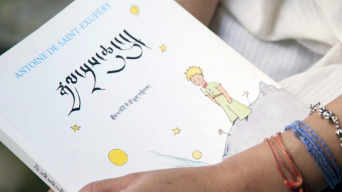 Projection : Le miracle du Petit Prince de Marjoleine Boonstra - les beautés des traductions